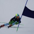 Obejrzyj galerię: Sukces zawodników z klubu Tatra Ski Academy