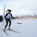 Obejrzyj galerię: Mistrzostwa w biegach narciarskich