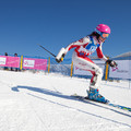 Obejrzyj galerię: Ministerstwo Sportu patronem honorowym akcji TAURON Bachleda Ski