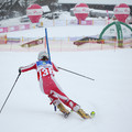 Obejrzyj galerię: Akademickie Mistrzostwa Polski w narciarstwie alpejskim