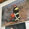 Obejrzyj galerię: Straż pożarna w obiektywie Michała Adamowskiego.