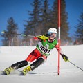 Obejrzyj galerię: Polskie narciarstwo alpejskie. Anna Berezik