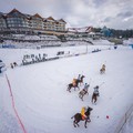 Obejrzyj galerię: BUKOVINA Polo Snow Masters 2014