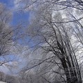Obejrzyj galerię: Bieszczady zimą – baśniowa kraina 2...