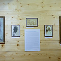 Obejrzyj galerię: Wernisaż wystawy o Witkacym w Galerii na Kozińcu