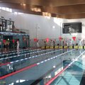Obejrzyj galerię: Miejskie Igrzyska Szkół Podstawowych w Pływaniu