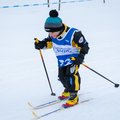 Obejrzyj galerię: Zawody w biegach narciarskich w Chochołowie