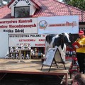 Obejrzyj galerię: X Jubileuszowe Mistrzostwa Polski w dojeniu sztucznej krowy