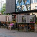 Obejrzyj galerię: 100.rocznica śmierci Jana Kasprowicza. Wystawa plenerowa „U Kasprowiczów na Harendzie”