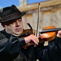 Obejrzyj galerię: FiśBanda w Czerwonym Dworze