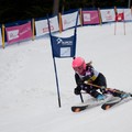 Obejrzyj galerię: Wyłoniono zwycięzców trzeciej edycji TAURON Energy Ski Cup