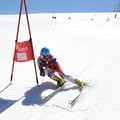Obejrzyj galerię: TAURON dostarcza polskiemu narciarstwu kolejną porcję energii