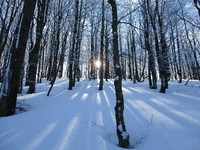 Bieszczady zimą – baśniowa kraina 2...