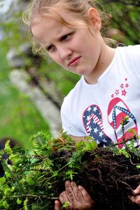 Zakopiański OFFSET z Tauronem: młodzież zasadziła drzewa na Zoniówce