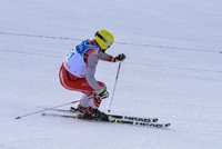 Trzecia edycja 6. Pucharu Zakopanego w narciarstwie alpejskim.
