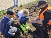 Zakopiańska młodzież posprzątała miasto i zasadziła rodzime gatunki roślin