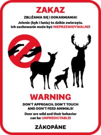 Przypominamy! Nie dokarmiaj dzikich zwierząt