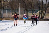 Miejskie Igrzyska Szkół Podstawowych w Narciarstwie Biegowym