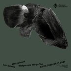 „Weś gilaweł / Laś śpiewa / The forest Is singing” Małgorzaty Mirgi-Tas