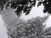 Śnieg padający wielkimi płatkami w Dolinie Małej Łąki