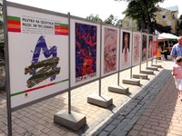 Wystawa plakatów muzycznych Waldemara Świerzego